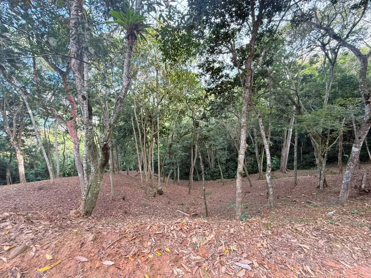 Imóvel 50742 - V